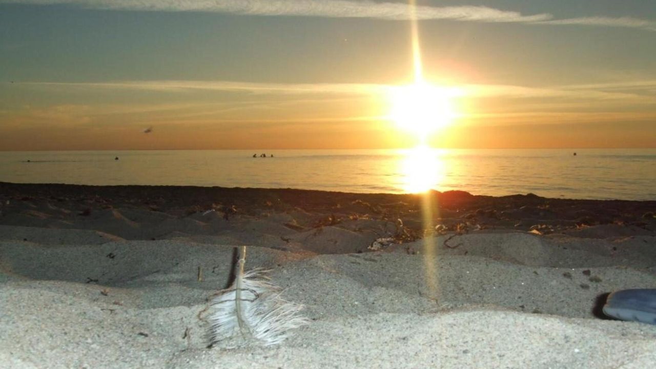 AreaSummer5KM AreaSummer5KM